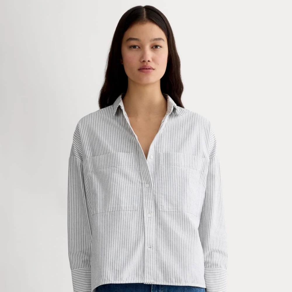 Everlane Boxy Oxford Top
